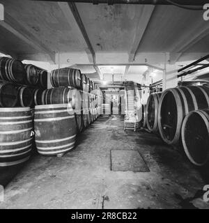 Corrente 34-5-1960: Fermentando a Filtvet i lieviti industriali producono uve nobili da frutta norvegese. Foto: Ivar Aaserud / Aktuell / NTB ***FOTO NON ELABORATA*** Foto Stock