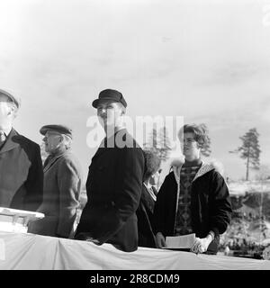 Attuale 15-3-1960: Abbiamo vinto e abbiamo vinto... I jumper hanno raccolto i record del pubblico e gli sciatori di fondo hanno fatto la storia dello sci. Foto: Sverre A. Børretzen / Aage Storløkken / Aktuell / NTB ***FOTO NON ELABORATA*** Foto Stock