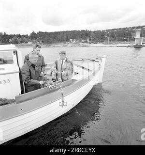 Corrente 31-8-1960: Acqua di liquame è acqua di balneazione ci gettiamo in muschio plancton e batteri intestinali nel Oslofjord interno - ma è pericoloso per la salute? Nessuno sa nulla al riguardo - per ora. Foto: Ivar Aaserud / Aktuell / NTB ***FOTO NON ELABORATA*** Foto Stock