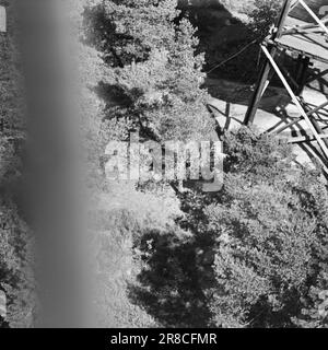 Attuale 29-6-1960: La sentinella solitaria abbiamo trovato un posto di lavoro strano. Giù là, un uomo che vive al suo posto cammina. Giorno e notte il nemico si aggirano, giorno e notte l'uomo solitario è in guardia - contro il fuoco della foresta. Foto: Aage Storløkken / Aktuell / NTB ***FOTO NON ELABORATA*** Foto Stock