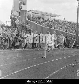 Attuale 36-3-1960 : Immaginate se abbiamo vinto l'oro la Norvegia sta inviando una grande squadra alle Olimpiadi di Roma. Le medaglie non sono mai appese così in alto. Non osiamo crederci, ma immaginate se abbiamo vinto l'oro... Foto: Aage Storløkken / Aktuell / NTB ***FOTO NON ELABORATA*** Foto Stock