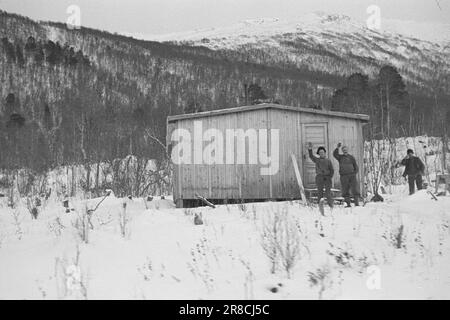 Attuale 1- 1948: Norvegia settentrionale e meridionale collegate tra loro [figura 0116] il 8 dicembre 1947, Nordlandsbanen, o Nord-Norgesbanen, come si dovrebbe piuttosto chiamare, ha aggiunto alcune nuove miglia alla sua crescita. Il tratto di linea Mo i Rana-Lønsdal è stato aperto al traffico generale. Una nuova fase del Nord-Norgesbanen è stata così completata. Ma Lønsdal non è il punto finale, il binario deve andare molto più a nord, - c'è qualche motivo per gonfiare questo incidente a più di un intermezzo tecnico ferroviario? Sì, lo è. Questo evento, che si è svolto senza alcuna grande esposizione di pompo cerimoniale e splendore, in realit Foto Stock