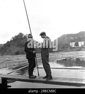 Attuale 49-12-1960: Vogliono un'auto? La fortunata striscia continua. Ma presto il viaggio di quasi 12.000 chilometri intorno alla costa è finito. Poi ci sono solo pochi viaggi in Norvegia orientale prima che il Lykkefingerløpet sia il traguardo per questa volta. I galleggianti nel canale Gjerstad di Aust-Agder danno anche le impronte digitali volentieri e speranza per una possibilità di auto. Forse il dito fortunato può essere trovato qui? Foto: Bjørn Bjørnsen / Aktuell / NTB ***FOTO NON ELABORATA*** Foto Stock