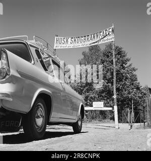 Attuale 29-6-1960: La sentinella solitaria abbiamo trovato un posto di lavoro strano. Giù là, un uomo che vive al suo posto cammina. Giorno e notte il nemico si aggirano, giorno e notte l'uomo solitario è in guardia - contro il fuoco della foresta. Foto: Aage Storløkken / Aktuell / NTB ***FOTO NON ELABORATA*** Foto Stock
