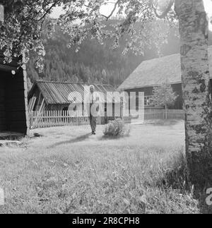 Corrente 32-5-1960: Poeta di Oladalen non ci sarà più tempo per gestire il giardino. La richiesta di periodici sulla vita a Oladalen è così grande che Sigurd Lybeck non sa cosa fare. Si aggira in modo irrequieto avanti e indietro nel cortile. Che cosa succederà ora al Myrenggubben? Foto: Aage Storløkken / Aktuell / NTB ***FOTO NON ELABORATA*** Foto Stock