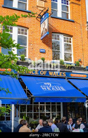 The Prince of Wales pub, Cleaver Square, Kennington, Londra, Regno Unito Foto Stock