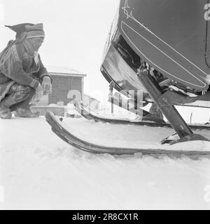 Corrente 08-1951: Rivoluzione in pianura [immagine 0050]la pianura di Finnmark ha ottenuto i suoi animali da tiro meccanici, le motoslitte, e l'egemonia secolare di comunicazione delle renne sulla pianura è stata rotta. Le motoslitte, che hanno avuto il loro primo incontro con Finnmarksvidda lo scorso inverno, si sono trovate bene a casa con il terreno. L'acclimatazione è stata sia indolore che rapida, e le motoslitte e la popolazione sono già a loro agio. Quanto completamente i nuovi mezzi di trasporto sono stati adottati dalla vidda si può vedere dalla relazione che la abitano Foto Stock