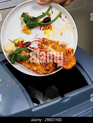 spreco di cibo, gettando il cibo nel cestino della spazzatura, per lo più vedendo negli hotel ed eventi di festa Foto Stock