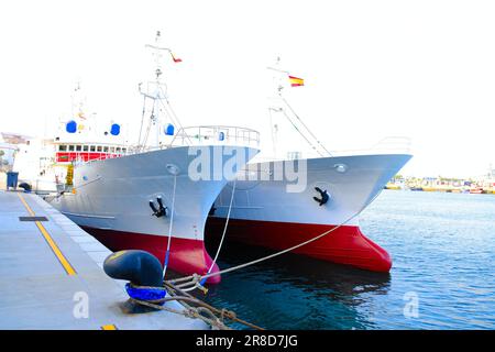 Pescherecci giapponesi per la pesca al tonno in mare attraccati in un porto Foto Stock