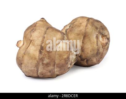 Due carciofi grezzi di Gerusalemme isolati su bianco Foto Stock