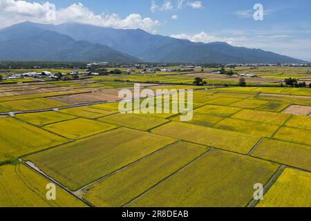 Vista areale della cittadina di Chishang a Taitung, Taiwan Foto Stock