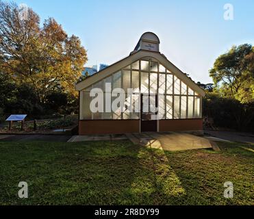 Il Royal Botanic Garden di Sydney, Australia, la Palm House 1876, vista frontale, il tetto liscia le ombre sui pannelli in vetro tradizionale testurizzato. Foto Stock