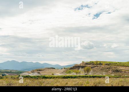 sistema di irrigazione in campo, campo di pomodoro verde, sistema di irrigazione per le colture in campo. Foto di alta qualità Foto Stock