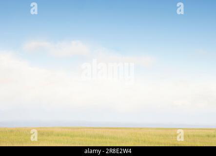 Cielo sopra l'erba vicino alla spiaggia Foto Stock