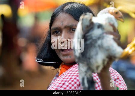 L'immagine della signora tribale è stata presa nel mercato del villaggio di Odisha, India Foto Stock