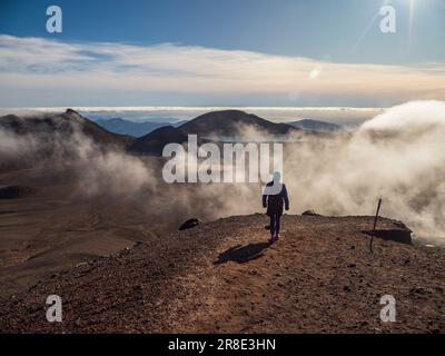 Nuova Zelanda, Waikato, Parco Nazionale Tongariro, escursioni a piedi Foto Stock