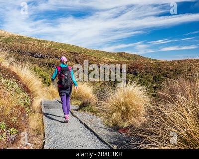 Nuova Zelanda, Waikato, Parco Nazionale Tongariro, escursioni a piedi Foto Stock