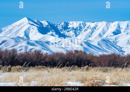 USA, Idaho, Bellevue, vista panoramica del paesaggio con montagne innevate Foto Stock