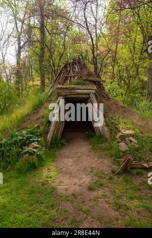 Rustico solitario capanna in legno di legno e verde zolla esterno. Foto Stock