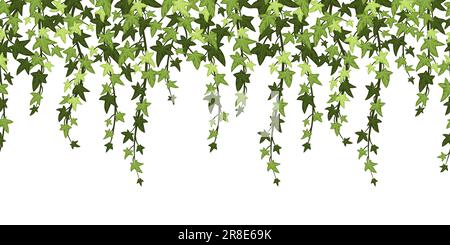 Verde edera rami di pianta sfondo. Vite sospesa con foglie, floreale botanico sfondo cartoon vettoriale illustrazione. Vegetazione selvaggia con fogliame, su Illustrazione Vettoriale