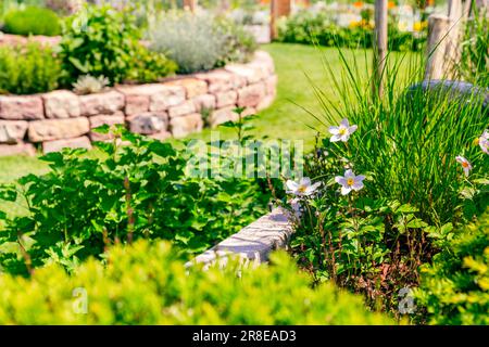 Letto di fiori con prato verde e spirale di erbe in mattoni per un piccolo giardino Foto Stock