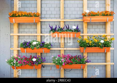Vasi di fiori esterni appesi per piccolo giardino, patio o terrazza Foto Stock