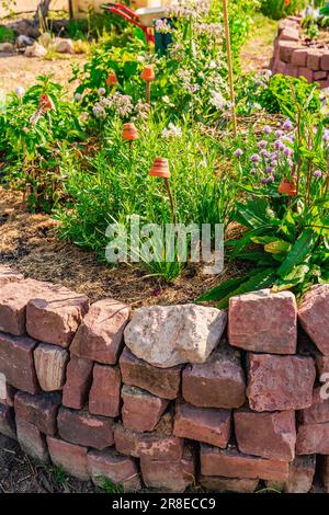 Spirale di erbe fatta di mattoni per un piccolo giardino. Traduzione non inglese: Aglio, sorrel Foto Stock