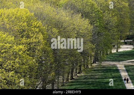 Parc du Cinquantenaire / Jubelpark a Bruxelles, Belgio © Wojciech Strozyk / Alamy Stock Photo *** Local Caption *** Foto Stock