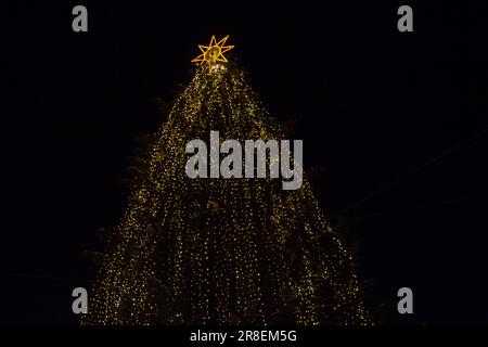 Splende sulla piazza un grande albero di Natale di notte Foto Stock