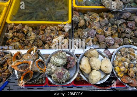 Vendita di vongole fresche, cozze e lumache di mare al famoso mercato del pesce Jagalchi di Busan, Corea del Sud. Foto Stock