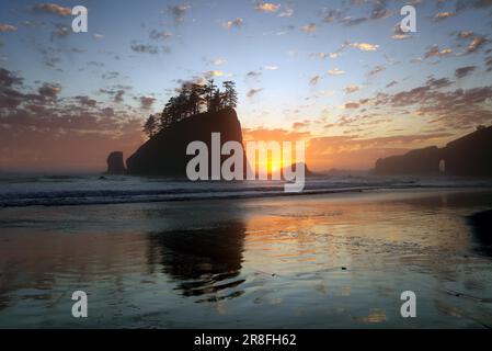 Second Beach, la Push, Sunset, Olympic National Park, Washington, STATI UNITI Foto Stock