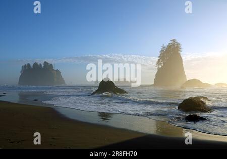 Second Beach, la Push, Sunset, Olympic National Park, Washington, STATI UNITI Foto Stock