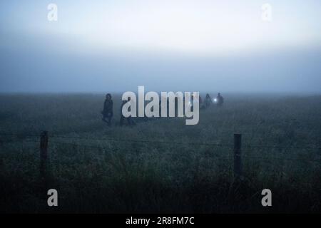 I festaioli spiritualmente attenti attendono l'alba all'alba durante il Solstice estivo (metà estate e giorno più lungo) presso le antiche pietre tardo-neolitiche di Stonehenge, il 21st giugno 2023, nel Wiltshire, in Inghilterra. Il solstizio d'estate è il giorno più lungo dell'emisfero settentrionale e la notte più breve dell'anno, quando l'asse della terra è inclinato nel suo punto più vicino al sole e i pagani dicono che l'antico monumento è un luogo sacro che collega la Terra, la Luna, il Sole e le stagioni. Stonehenge fu costruita in tre fasi tra il 3.000 a.C. e il 1.600 a.C. Stonehenge è di proprietà del patrimonio inglese che dice 8.000 visitatori wer Foto Stock