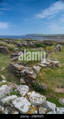 Resti dell'insediamento normanno sulla Brough of Birsay, un'isola disabitata di marea al largo della costa nord-occidentale del continente di Orkney, Scozia. Foto Stock