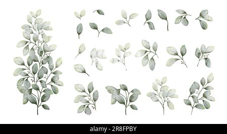 Set di elementi di foglie verdi acquerello. Collezione vettore botanico isolato su sfondo bianco adatto per invito di nozze, salvare la data, than Illustrazione Vettoriale