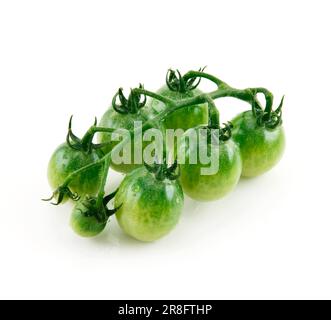 Mature umido pomodori verdi isolati su sfondo bianco Foto Stock