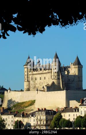 Saumur Castello, Saumur, Pays de la Loire, Francia, Valle della Loira Foto Stock