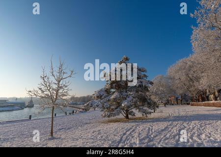 Inverno a Kiel sul canale di Kiel, Schleswig-Holstein, Germania settentrionale, Europa centrale, Foto Stock