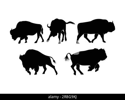 Set di silhouette di Bison isolato su sfondo bianco - Illustrazione vettoriale Illustrazione Vettoriale