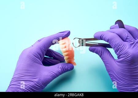 Tecnico odontoiatrico che regola un apparecchio dentistico su un tavolo di lavoro verde. Foto Stock