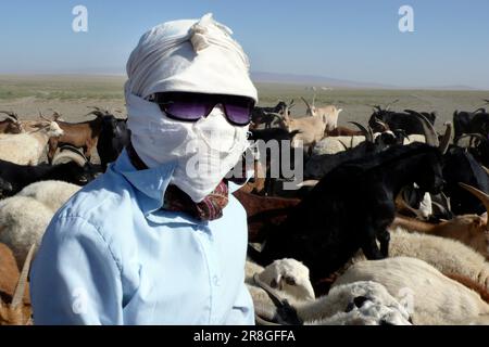 Pastori, deserto del Gobi, Mongolia Foto Stock