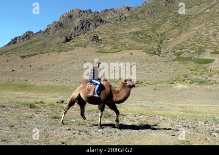 Yol Valley, deserto del Gobi, Mongolia Foto Stock