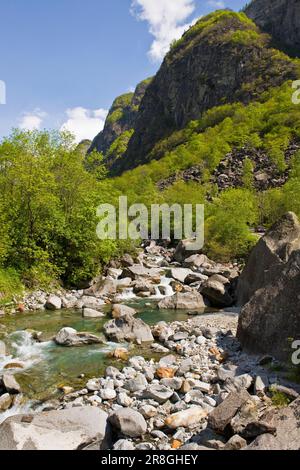Foroglio, Valle di Bavona, Canton Ticino, Svizzera Foto Stock
