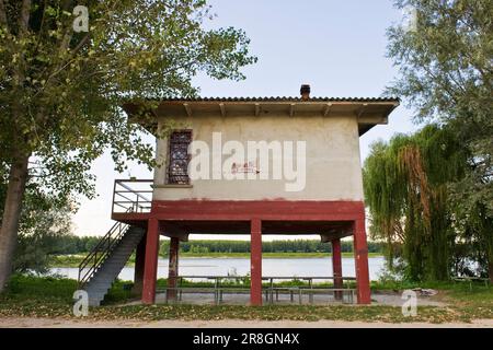 1994 inondazioni, fiume po, Lombardia, Italia Foto Stock