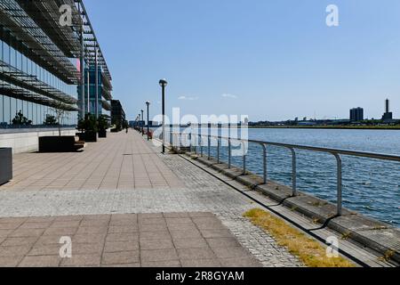 Il Royal Albert Dock è una calda giornata di sole, Newham, Londra Foto Stock