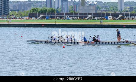 Sessione di allenamento del thames Dragon Boat Club al Royal Albert Dock, Londra Foto Stock