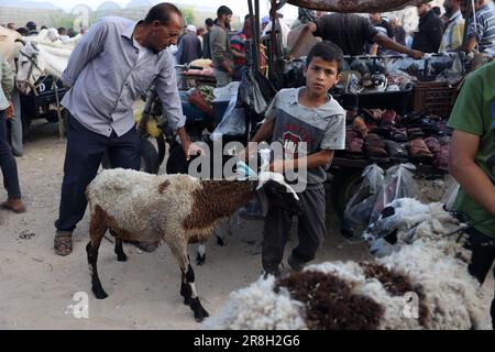 I palestinesi si preparano alla prossima festa musulmana di Eid al-Adha, nella striscia di Gaza, il 21 giugno 2023. Foto Stock