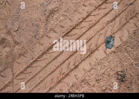 Carreggiate sul terreno, primo piano delle carreggiate degli pneumatici Foto Stock