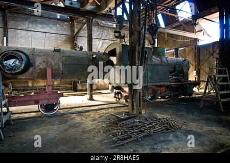 Officina meccanica. Eritrean Railways. Da Asmara a Massawa. Eritrea Foto Stock