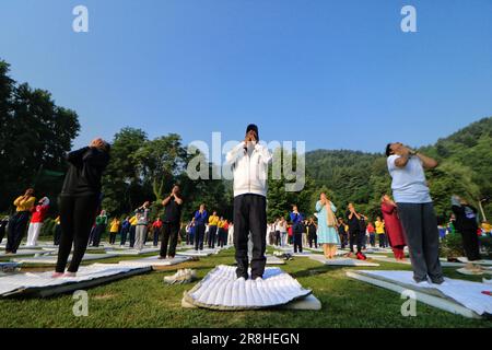 Srinagar Kashmir, India. 21st giugno, 2023. La gente esegue lo Yoga per celebrare la Giornata Internazionale dello Yoga a Srinagar. Nel dicembre 2014, le Nazioni Unite (ONU) hanno dichiarato il 21 giugno Giornata Internazionale dello Yoga dopo l'adozione di una risoluzione proposta dal primo ministro indiano Narendra modi. Il 21 giugno 2023 a Srinagar Kashmir, India. (Credit Image: © Firdous Nazir/eyepix via ZUMA Press Wire) SOLO PER USO EDITORIALE! Non per USO commerciale! Foto Stock